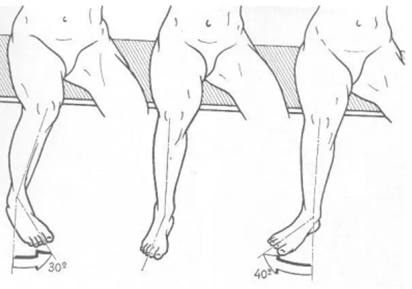 Fig. 2.4 Movimenti di intra-extra rotazione 