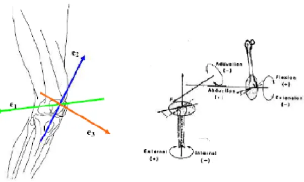 Fig. 2.7 Convenzione di Grood&amp;Suntay[2] 