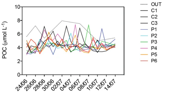 Figure 6. Integrated particulate organic carbon (POC) concentrations during the course of  the experiment in all nine mesocosms and in the bay of Calvi.