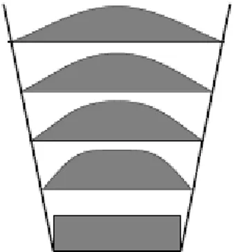 Figura 1.7 : profili di velocità di un flusso ascendente in un canale divergente 