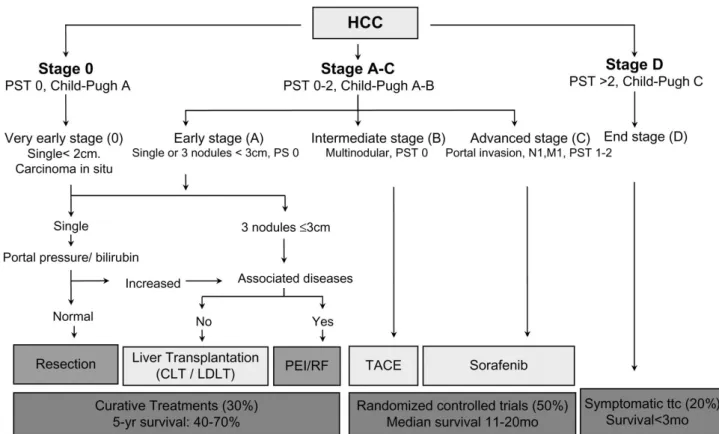 Fig 2.: Barcelona Clinic Liver Cancer (BCLC) staging classification and treatment schedule  (Llovet et al