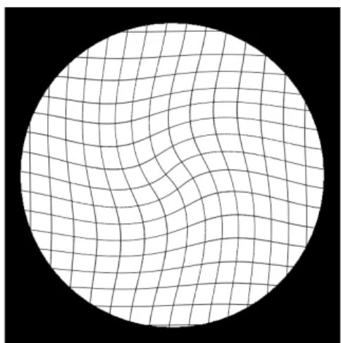 Figura 1-3: Distorsione geometrica radiale e distorsione geometrica sigmoidale