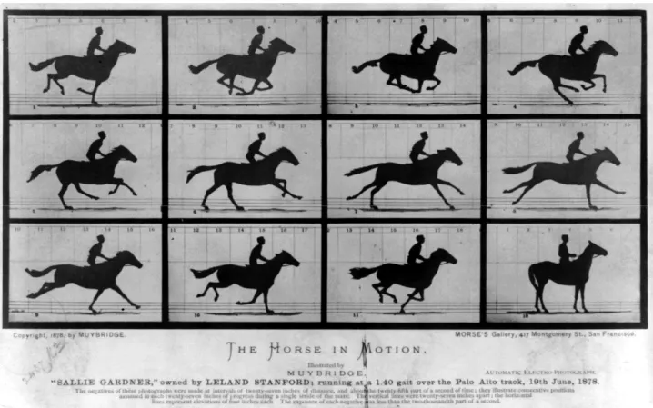 Figura 1 &#34;Il cavallo in movimento&#34; Muybridge, 1878