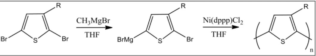 Figura 17. Polimerizzazione secondo Rieke-Chen. 