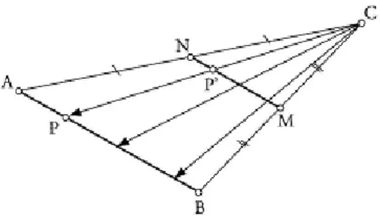 Figura 1.3: Corrispondenza biunivoca tra due segmenti in un triangolo. massimi sistemi (1632) che, da una parte, l’insieme N q dei numeri naturali quadrati ` e parte propria dell’insieme N dei naturali, ma che, d’altra parte, `e facile stabilire una corris