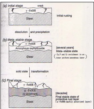 Fig 1.7: Schema riassuntivo del processo formazione patina protettiva nel Cot-Ten 
