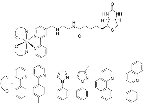 Figura 5: complessi ciclometallati di Ir (III), funzionalizzati con la biotina. 