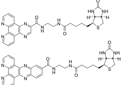 Figura 6: leganti dipiridochixaline (sopra) e dipiridofenazide (sotto). 