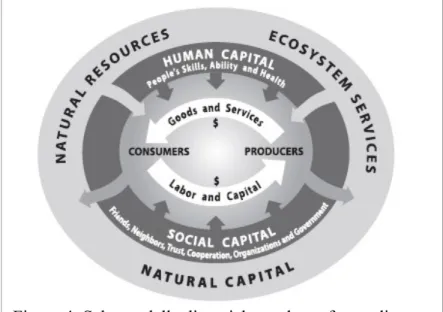 Figura 4: Schema delle dinamiche tra le tre forme di  capitale (Costanza, 2009)