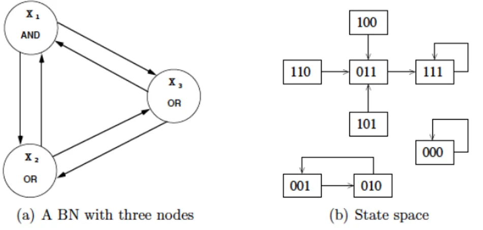 Figure 2.2: An example of a BN with three nodes (a) and its corre- corre-sponding state space under synchronous and deterministic update (b)