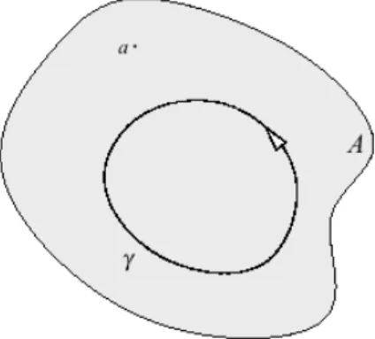 Figura 1.1: Teorema integrale di Cauchy