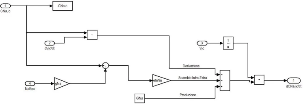 Figura 2.4  Implementazione in Simulink del sottosistema “SodioIntracellulare” 