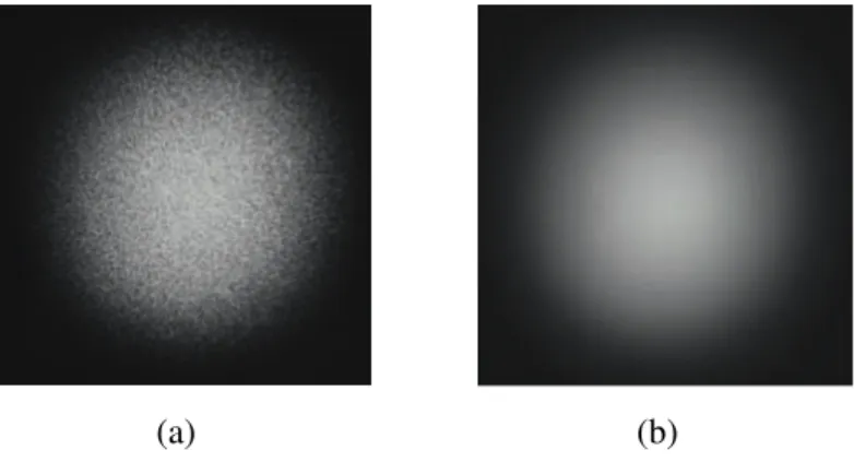 Figura 2.1: Spot laser con (a) e senza (b) speckle pattern.