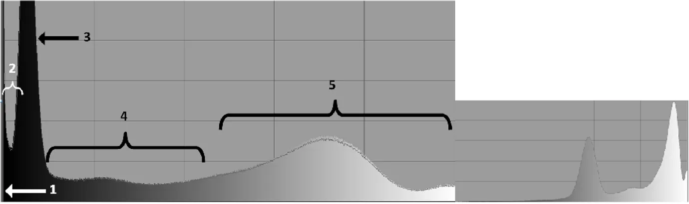 Figura  1-13.  Istogramma  dell’immagine  CEPH  ottenuta  col  set  di  parametri  in  fase  di  valutazione