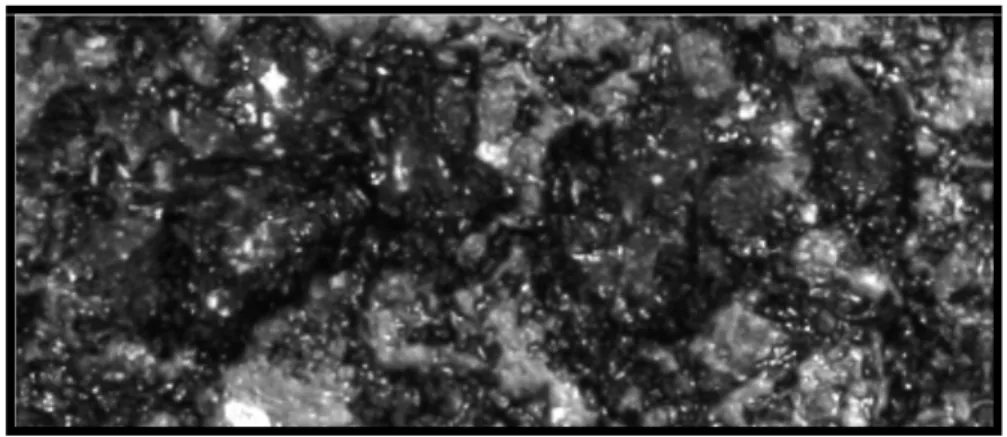 Figure 3.14 - Simple orthorectified digital image of trafficked asphalt concrete  slab surface 