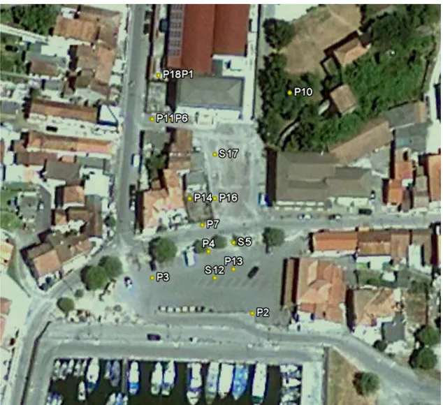 Figura 4.8 Immagine tratta da Google Earth con ubicazione dei punti di indagine nell’area di studio 