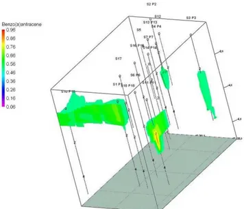 Figura 5.2 Modello 3D in Rockworks della contaminazione da benzo(a)antracene nell’area     