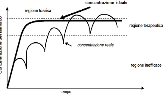 Figura 2:Rappresentazione in funzione del tempo della concentrazione di farmaco 