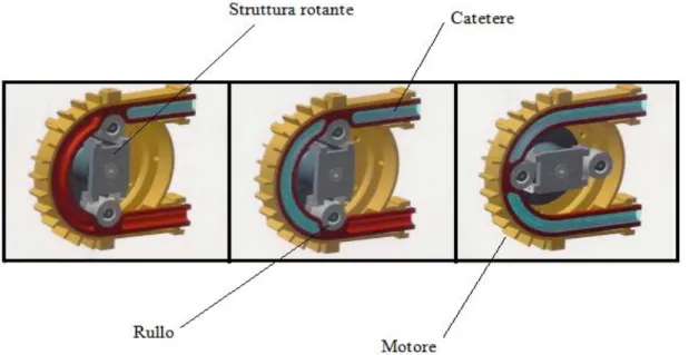 Figura 3:Pompa peristaltica rotatoria 