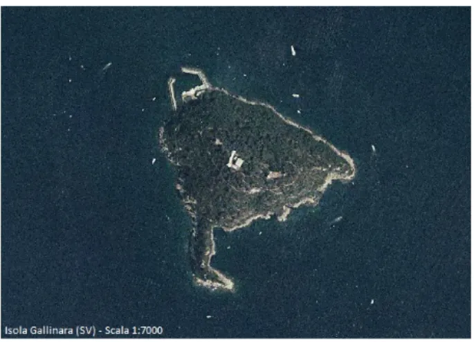 Figura  3.2 Isola Gallinara. 