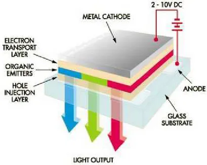 Fig 3.1 : disegno illustrativo del funzionamento di un OLED con le parti  costituenti più importanti 