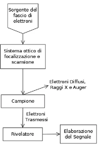 Fig. 6.2: Schema semplificato di un microscopio TEM 