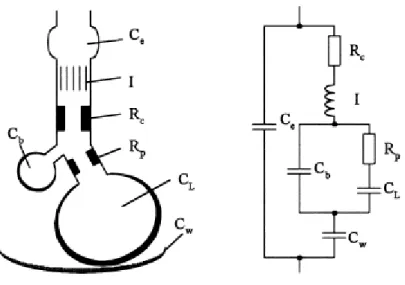 Figura 10: Modello di Mead 