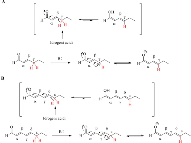 Figura 12: (A) Idrogeni acidi in posizione γ, (B) Idrogeni acidi in posizione ε 