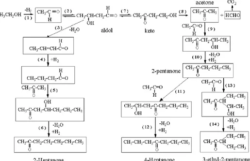 Figura  7.  Schema  di  formazione  dei  prodotti  “pesanti”  a  partire  da  etanolo 43