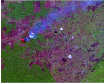 Figura 1.10 - Rappresentazione MIR-NIR-Blue di un incendio boschivo.  (Immagine rilevata dal satellite SPOT 4)