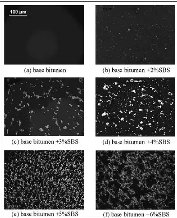 Figura 3.10 – Immagini di un bitume modificato con diverse % di SBS estrapolate da un microscopio a  fluorescenza 