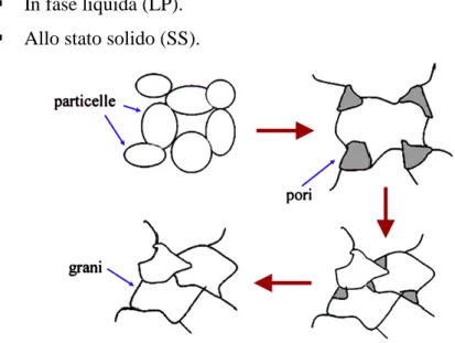 Figura 4.3: Rappresentazione schematica del processo di sinterizzazione. 