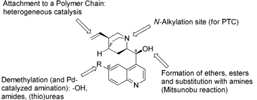 Figure 5: Functionalisations on Cinchona Alkaloids. 