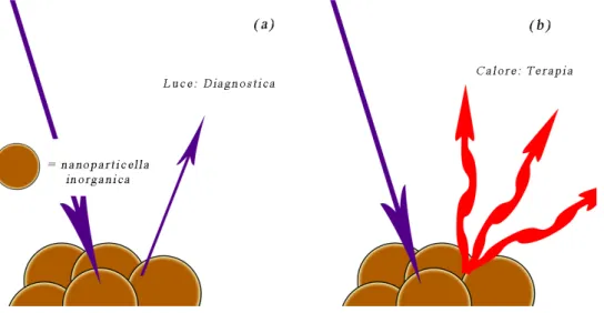 figura 1.6: possibilità di utilizzare le nanoparticelle inorganiche come agente diagnostico (a) o  terapeutico (b) 