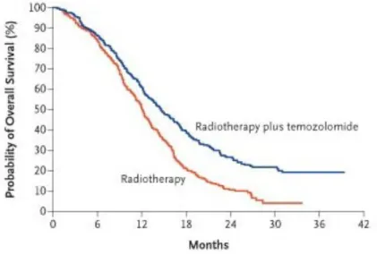 figura 1.9: effetto sinergico di radio- e chemioterapia 