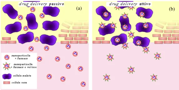 figura 1.2 : differenza tra drug delivery attivo (a) e passivo (b)