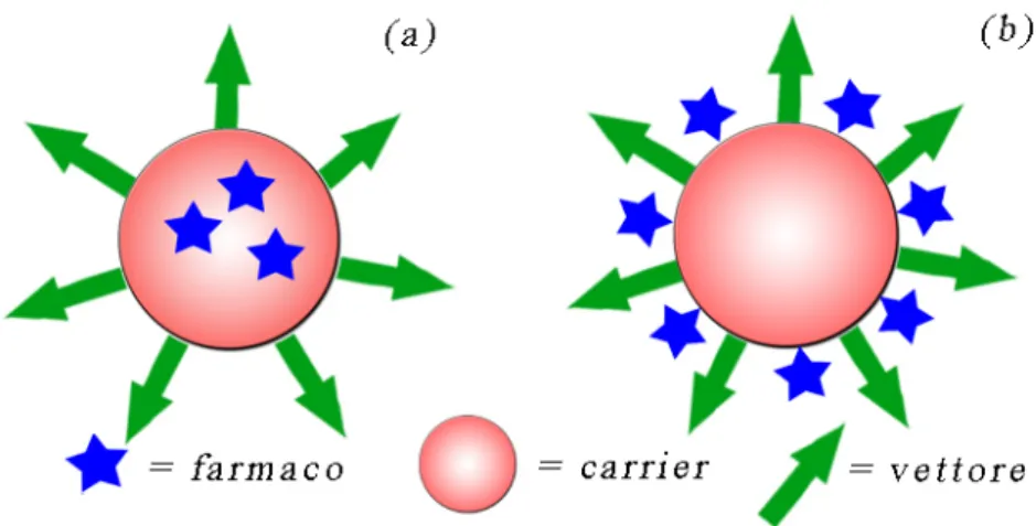 figura 1.2: farmaco incapsulato dentro una nanoparticella (a) o assorbito  sulla sua superficie (b) 