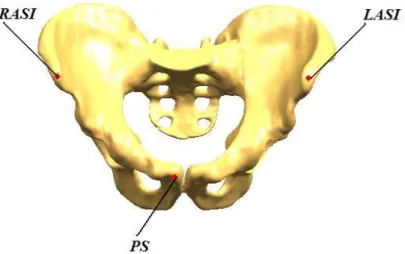 Figura 2.6: Punti anatomici individuati per la creazione del Sistema di Riferimento 