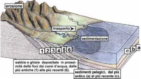 Fig. 6 Rapporto tra ambienti continentali, dove prevalgono erosione  e trasporto, e ambienti  marini dove prevale la sedimentazione