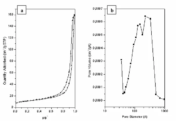 Figura 4.12. (a) Isoterme di assorbimento e desorbimento di N 2  a -196 °C e (b)  distribuzione differenziale dei pori ottenuta mediante il metodo BJH per il 