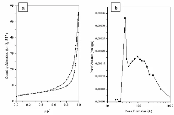 Figura 4.13. (a) Isoterme di assorbimento e desorbimento di N 2  a -196 °C e (b)  distribuzione differenziale dei pori ottenuta mediante metodo BJH per il 