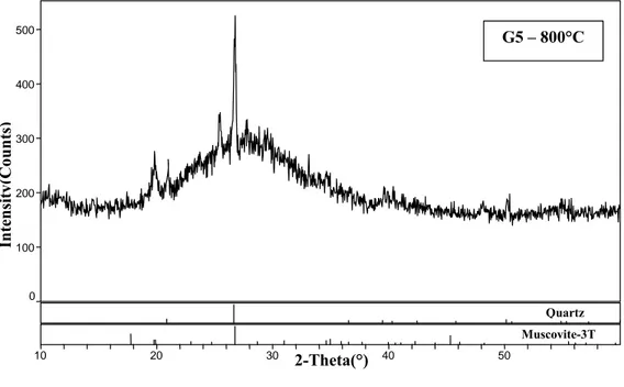 Figura 4.20.  Diffrattogramma RX  del campione G5 dopo trattamento   termico in “Elevator”   a 800 °C per 1 h