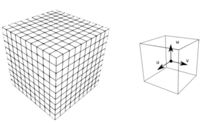 Figura 2.1: Lo spazio considerato suddiviso in voxel(notare le tre componenti del vettore velocit` a definite nel centro del cubo).