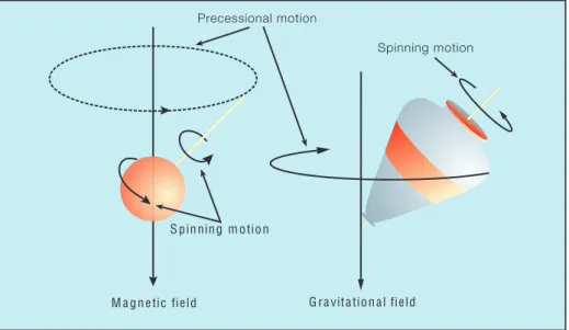 Fig. 1.3, Moto di precessione di un nucleo di idrogeno (a sinistra); esso si comporta come una  trottola nel campo gravitazionale (destra), ruotando con moto di precessione attorno all’asse 