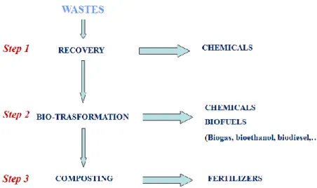 Figura 1.3: Schema della valorizzazione multistadio degli scarti agroindustriali 