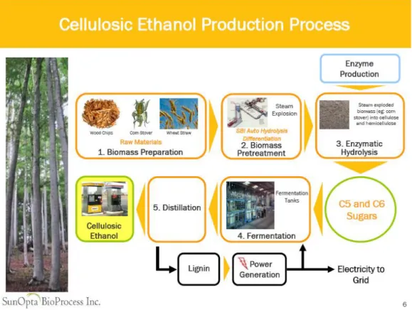 Figura 1.13: Esempio di un processo di recupero di nutrienti da biomasse di scarto 