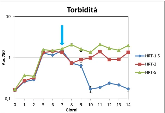 Figura 3: andamento della torbidità alle tre condizioni. 