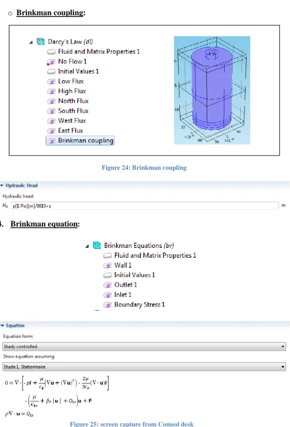 Figure 25: screen capture from Comsol desk Figure 24: Brinkman coupling 