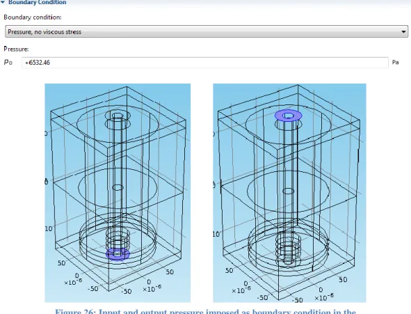 Figure 26: Input and output pressure imposed as boundary condition in the  Darcy's law physic (microscopic domain) 