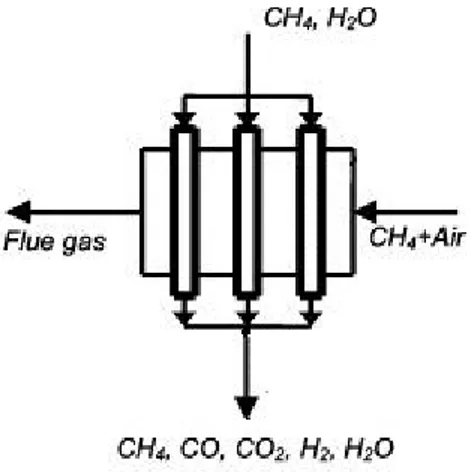Fig. 1.1 - Esempio di un reattore per la reazione di steamreforming 